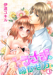 可愛いうさぎの啼かせ方。（３）