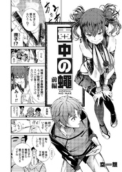 壺中の蠅