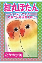 紅丸ぼたん～インコカップルのお騒がせ夫婦漫才劇！！～