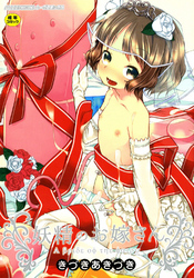 妖精のお嫁さん【Sハード】