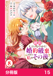 婚約していないのに婚約破棄された私のその後【分冊版】15