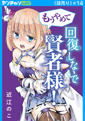 もうやめて回復しないで賢者様！(話売り)　#14