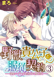 野獣貴公子と服従契約─溺愛シンデレラは真夜中に脚を開く─（分冊版）暴君に乱されて…　【第3話】