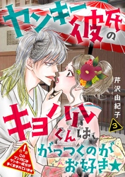 ヤンキー彼氏のキヨハルくんは、がっつくのがお好き★【特装版】 3