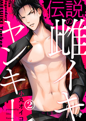 伝説の雌イキヤンキー（2）